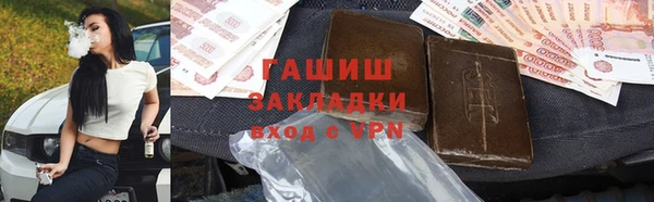 гидра Инсар