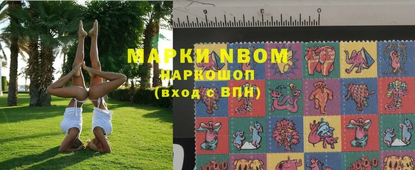 дмт Каменногорск
