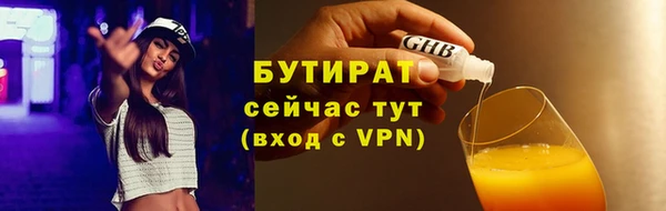 гидра Инсар