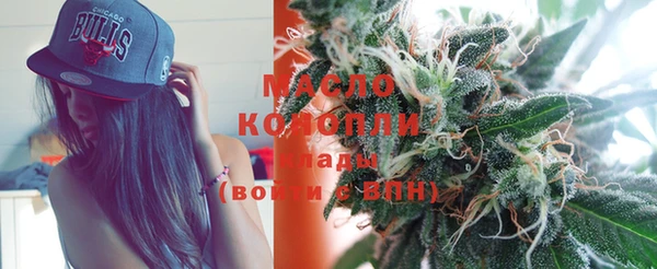 дмт Каменногорск