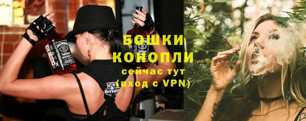 гидра Инсар