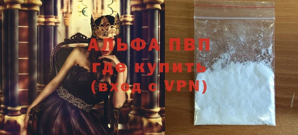 гидра Инсар